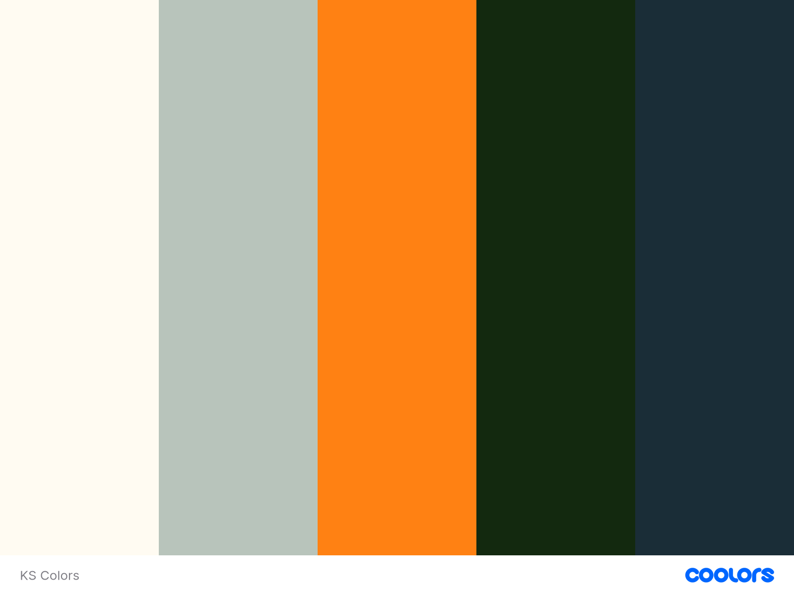 Color Scheme