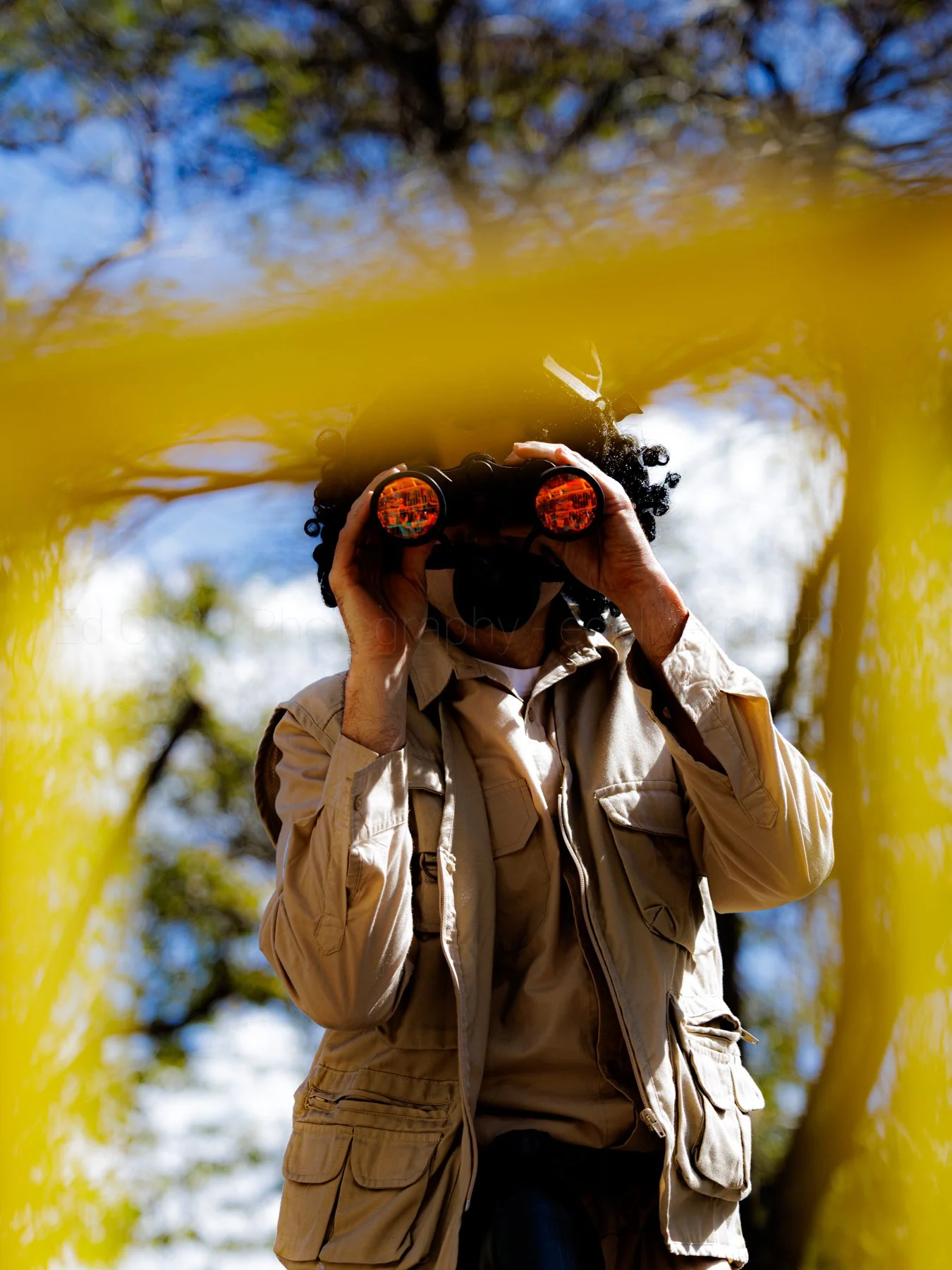Person in beige outdoor gear looking through binoculars in a wooded area, viewed from below with yellow branches in the foreground.