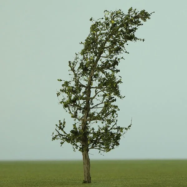 a scale model wind blown tree