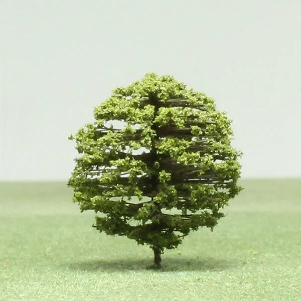 A scale model common box tree