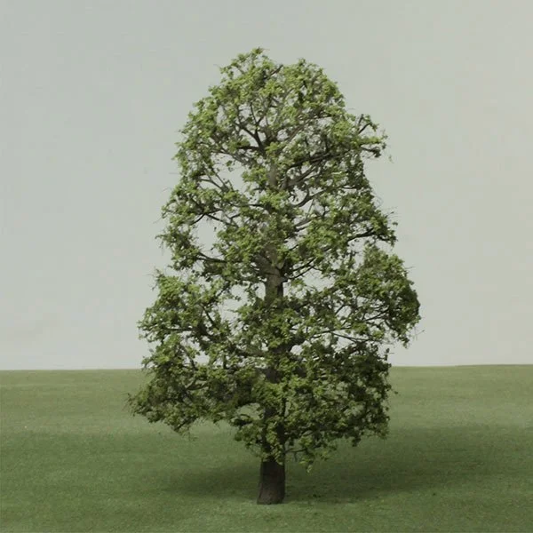 A scale model of an elm tree