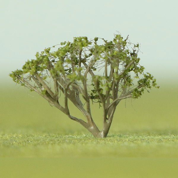 a scale model of a serviceberry tree
