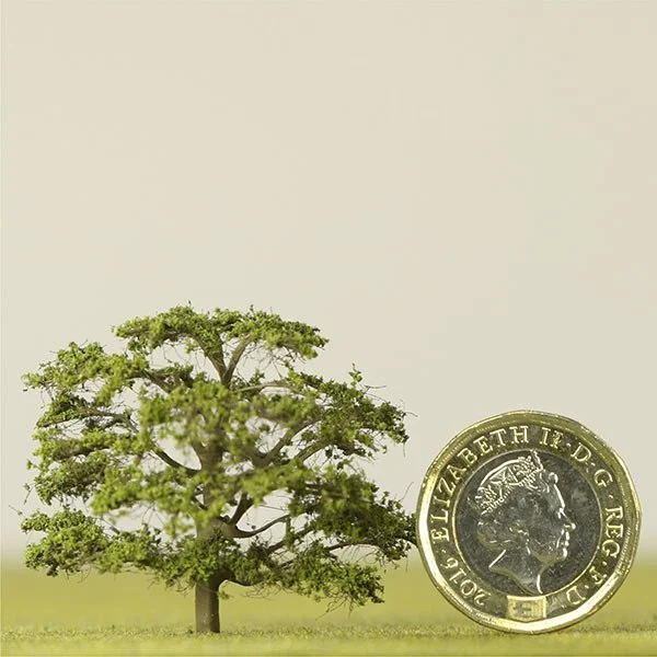 A scale model of an ironwood tree