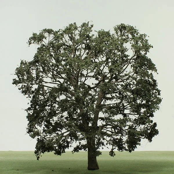 A scale model of an Oak tree