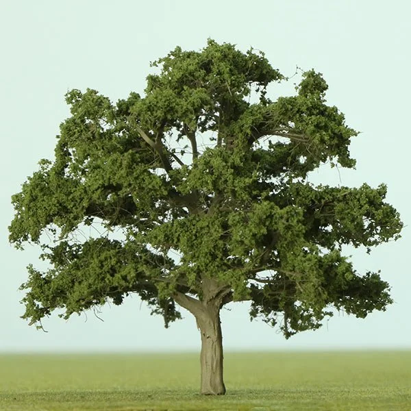 A scale model of a sycamore tree