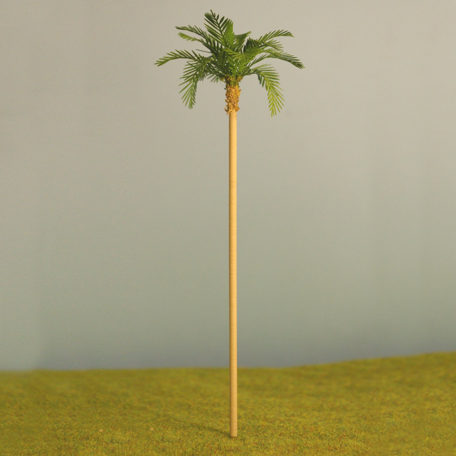 Light Green Palm Trees