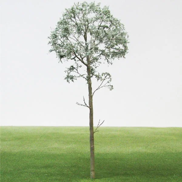 A scale model of a eucalyptus tree