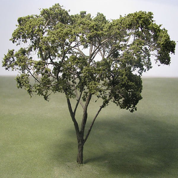 A scale model of a Maple tree