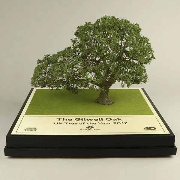 Miniature model of The Gilell Oak tree, a UK Tree of the Year 2017, with a thick trunk and lush green foliage, displayed on a platform with a label.
