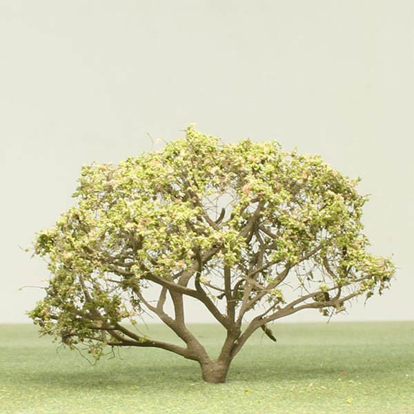 A small, leafy model tree with a thick trunk standing on grass.