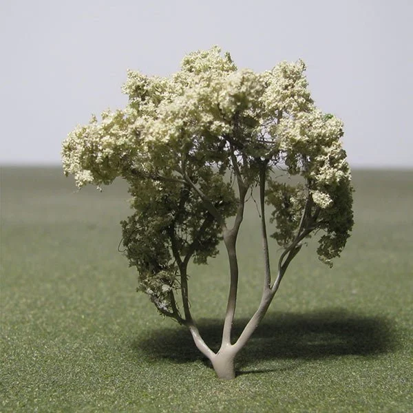 A scale model of a jujube / sidra tree