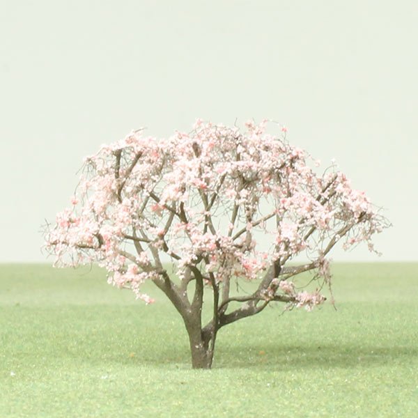 A scale model of a Magnolia tree