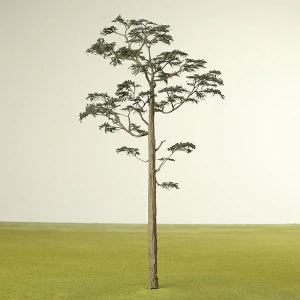 A scale model of a Pine tree