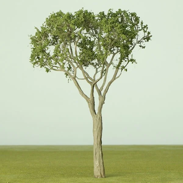 A scale model of a eucalyptus tree