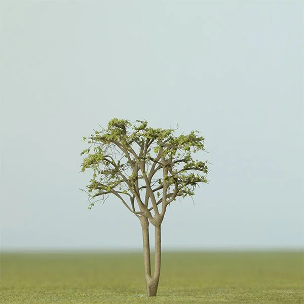 A scale model multi-stem deciduous tree