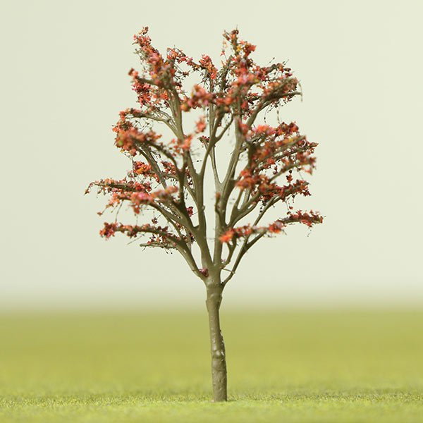 a scale model of Royal poinciana tree