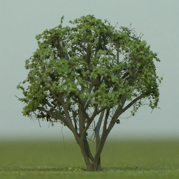 A scale model bay rum tree
