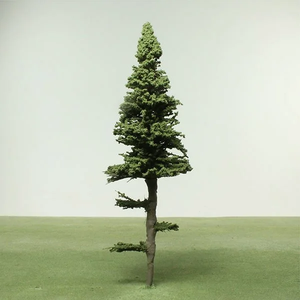 A scale model of a douglas fir tree