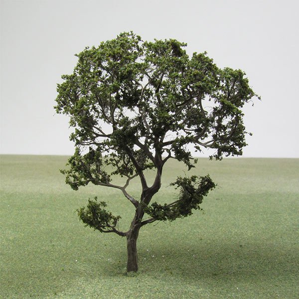 A scale model of an Olive tree