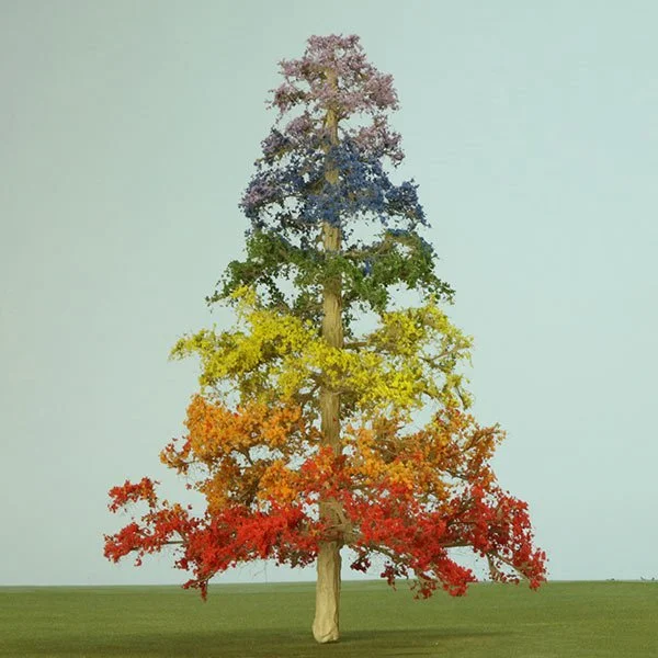 A scale model of a larch tree
