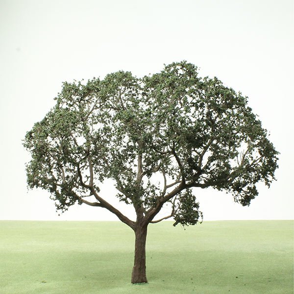 A  Model Chestnut tree with green foliage on a grassy field against a white sky.