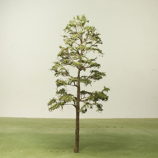A scale model of an Olive tree