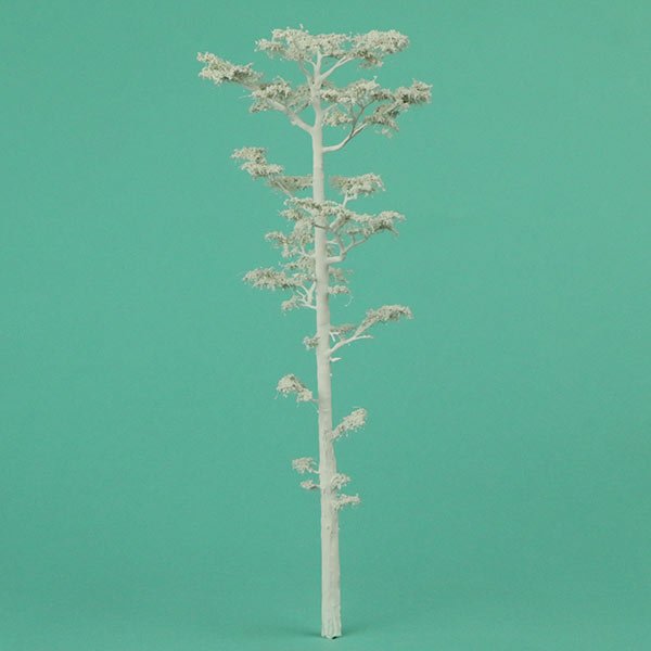 A scale model of a Pine tree