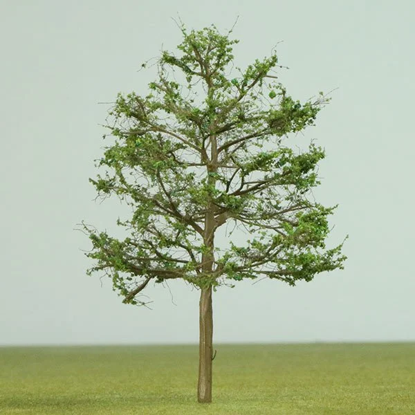 A scale model Madagascar almond tree