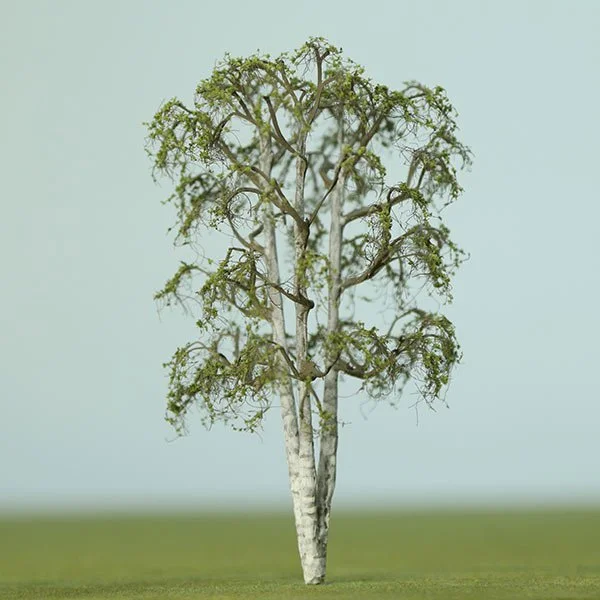 A scale model of a birch tree
