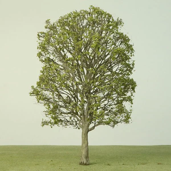 A scale model of a Plane tree