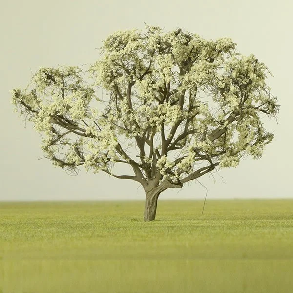 A model acacia tree