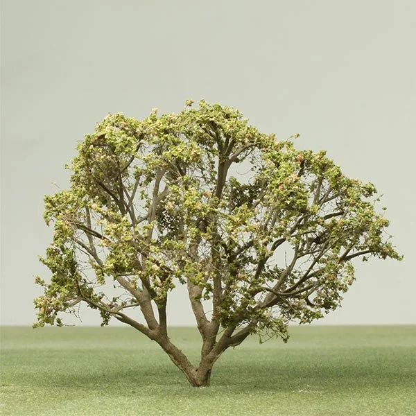 A scale model of a ghaf tree