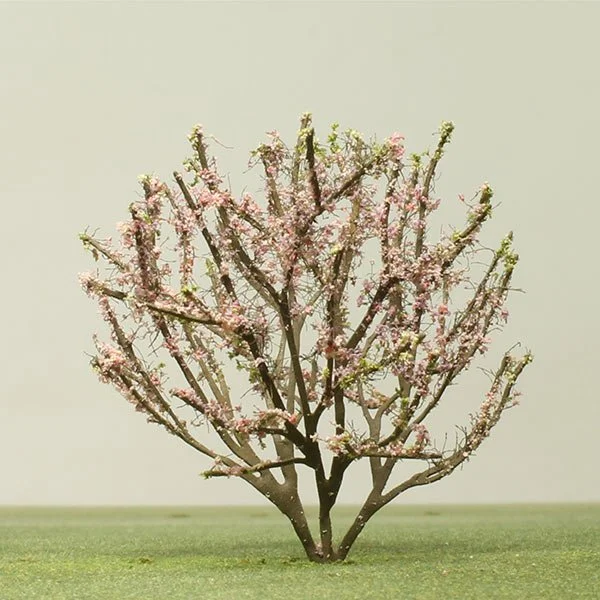A scale model Judas tree