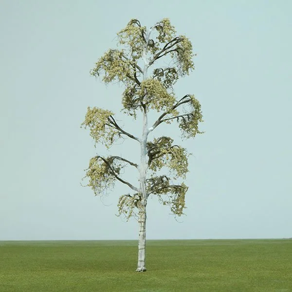 A scale model of a birch tree