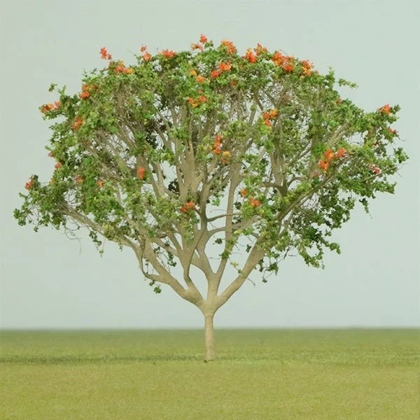 a scale model of a tulip tree