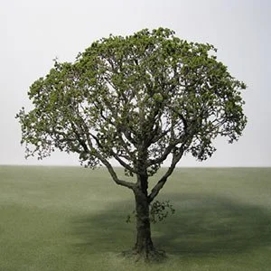 a scale model seagrass tree