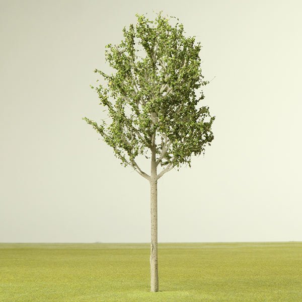A scale model of a Maple tree