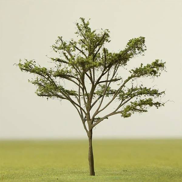 A scale model of an apple tree
