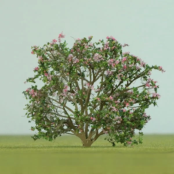 A pink flowering model tree with a broad canopy against a light sky, situated on a grassy ground.