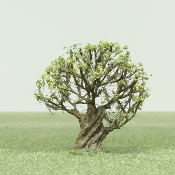 A scale model of an Olive tree