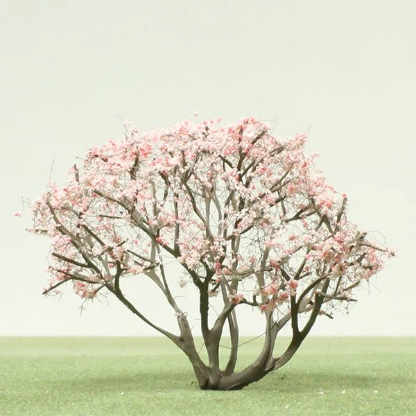 A scale model of a Magnolia tree