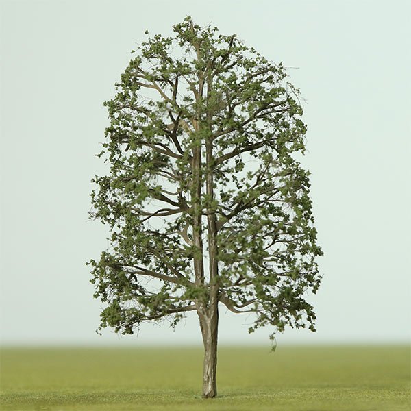A scale model of a lime tree