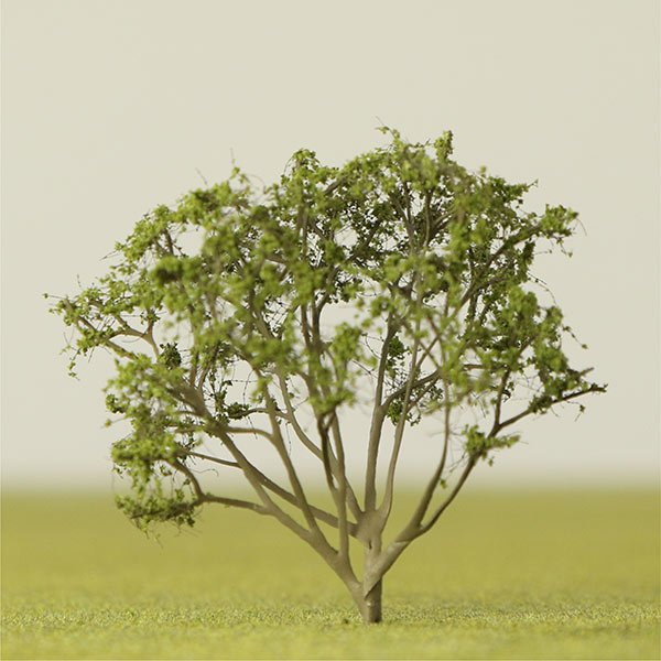 a scale model of a serviceberry tree