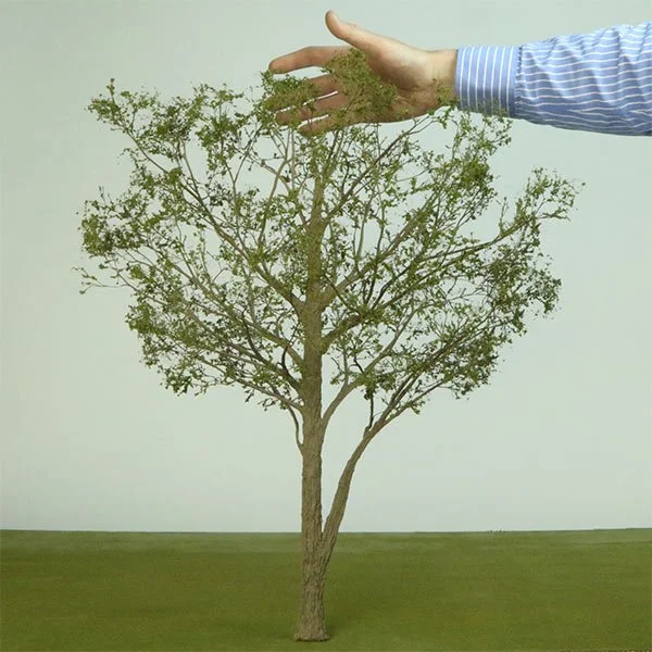 A scale model deciduous tree