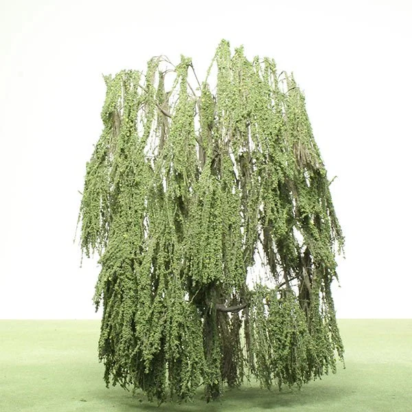 a scale model of a willow tree