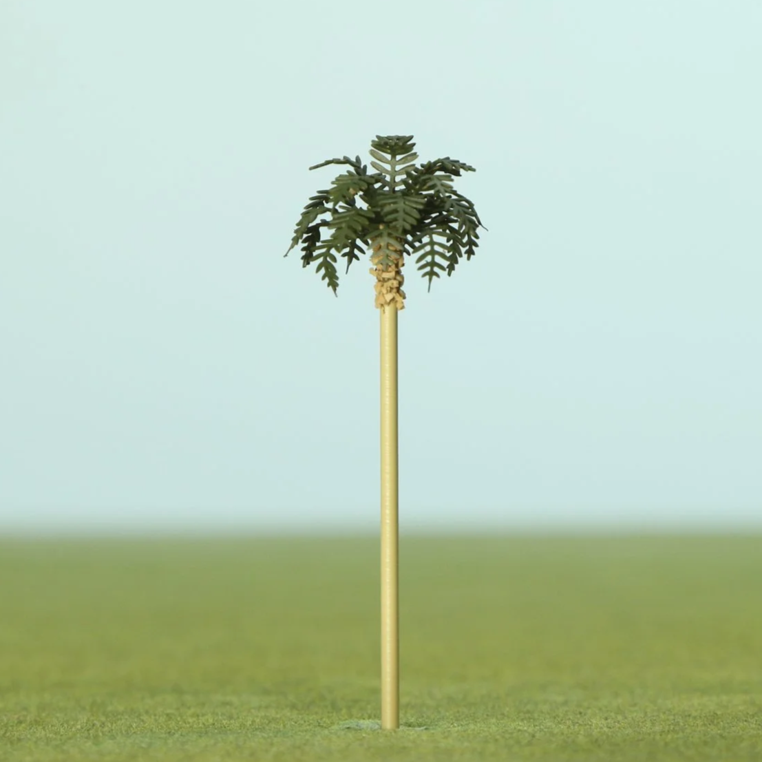 Dark Green Palm Trees