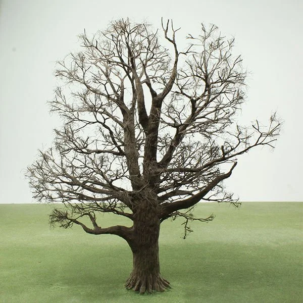 A scale model of an Oak tree