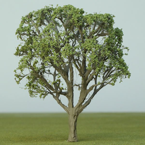 A scale model mahogany tree