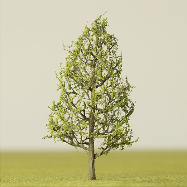 A scale model of a Maidenhair tree