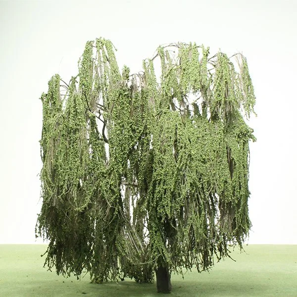 A large, model willow tree with hanging green foliage, displayed against a plain light background.